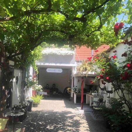 Ferienwohnung Im 'Schmoller - Hof' Neustadt an der Weinstraße 외부 사진