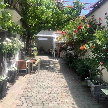 Ferienwohnung Im 'Schmoller - Hof' Neustadt an der Weinstraße 외부 사진