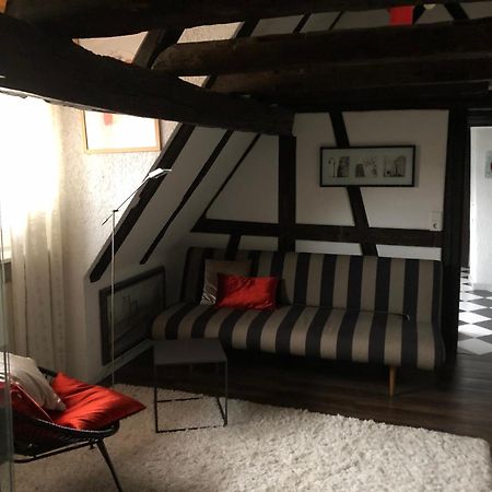 Ferienwohnung Im 'Schmoller - Hof' Neustadt an der Weinstraße 외부 사진