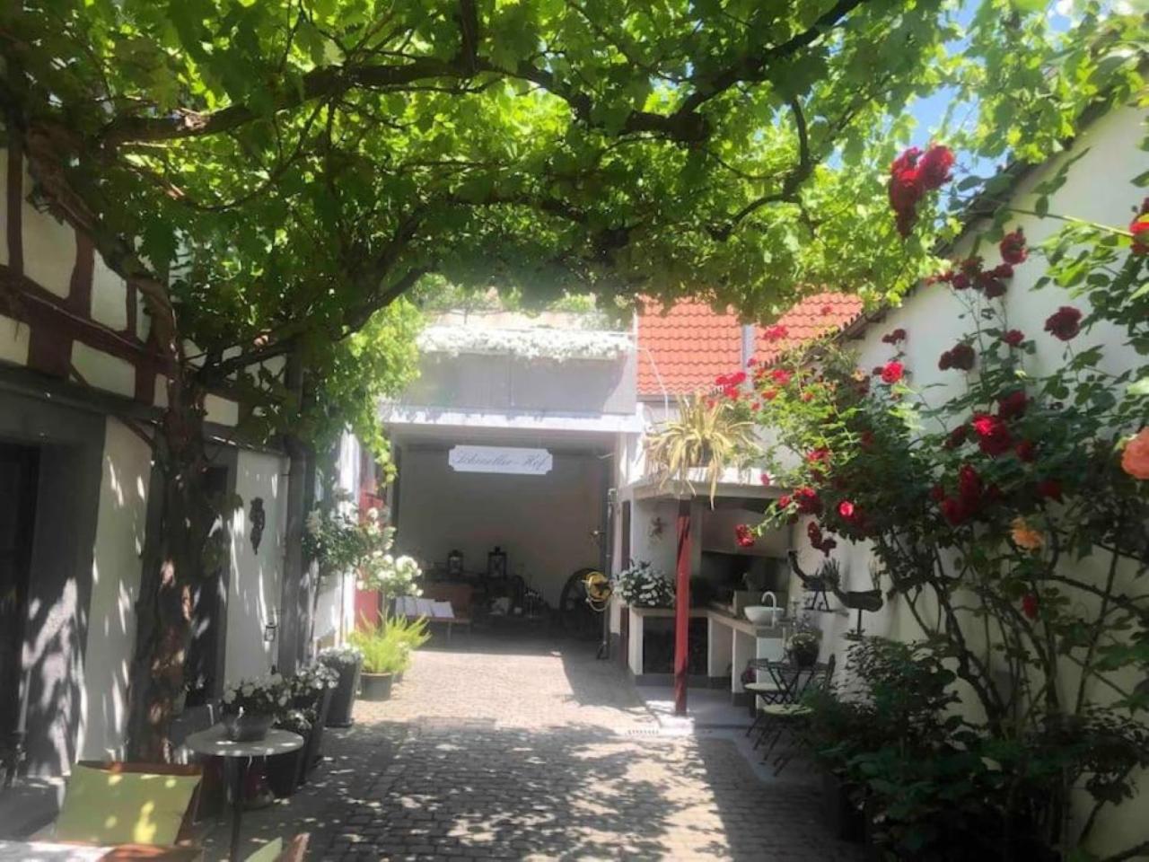 Ferienwohnung Im 'Schmoller - Hof' Neustadt an der Weinstraße 외부 사진