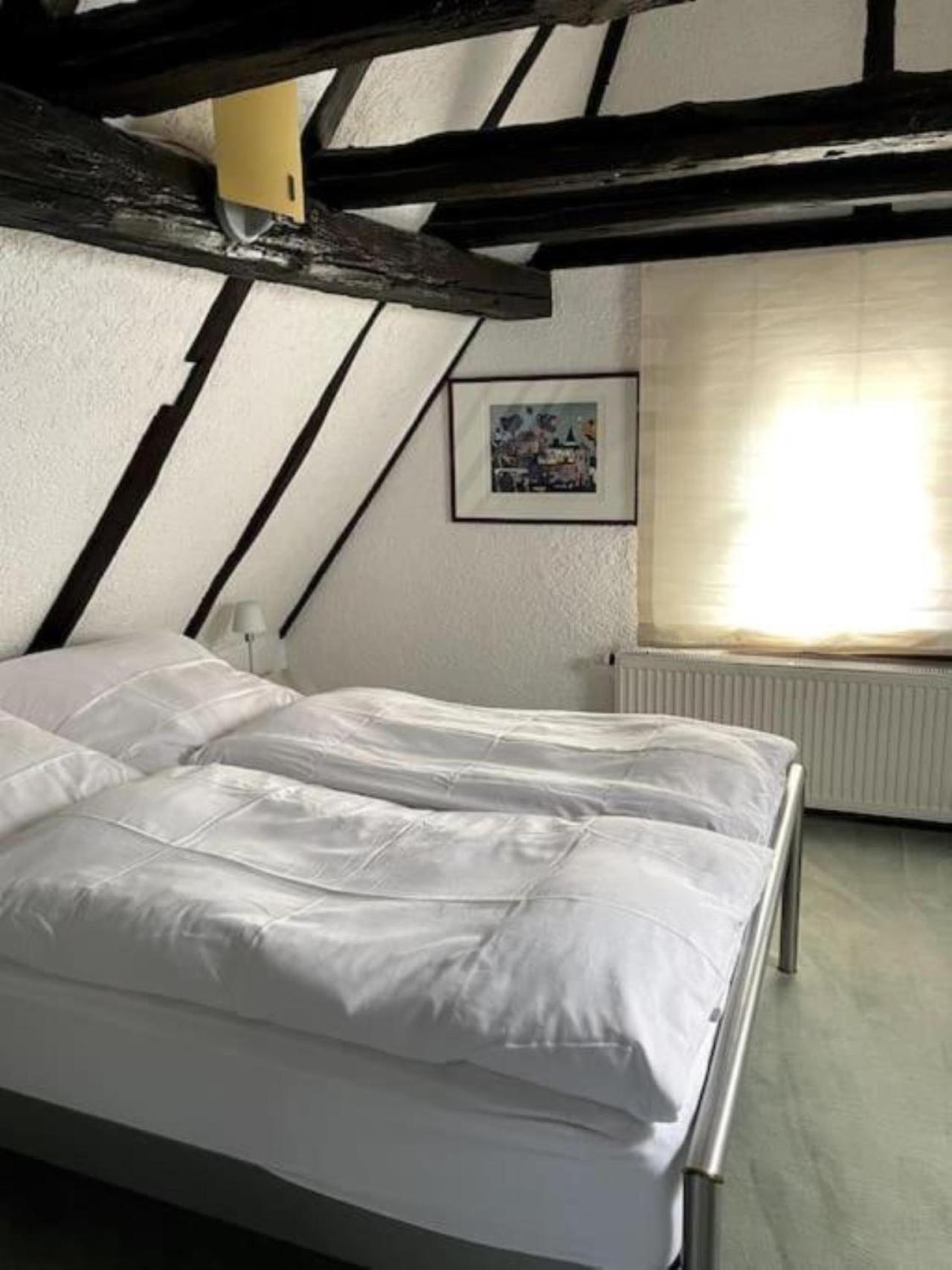 Ferienwohnung Im 'Schmoller - Hof' Neustadt an der Weinstraße 외부 사진