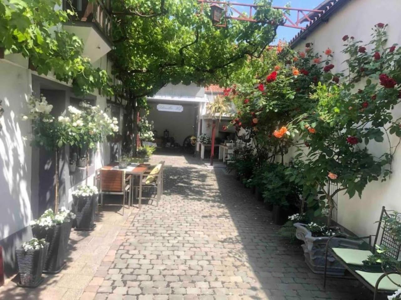 Ferienwohnung Im 'Schmoller - Hof' Neustadt an der Weinstraße 외부 사진